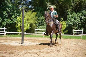 El Retiro invierte en un nuevo espacio para la tradición caballista